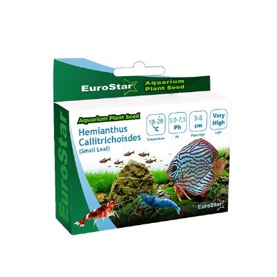 EuroStar Bitki Tohumu Hemianthus Callitrichoides