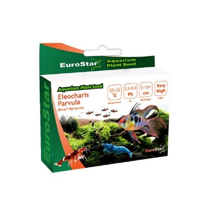 Eurostar Bitki Tohumu Eleocharis Parvula