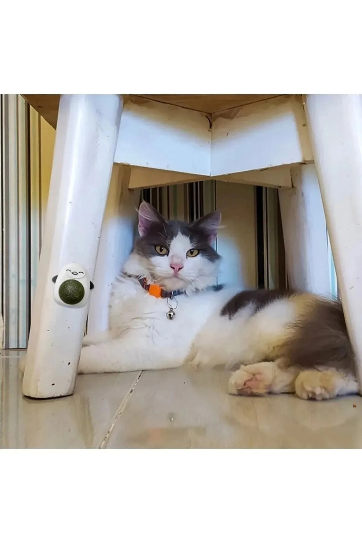 Petcorn İthal Kedi Yalama Topu Catneep