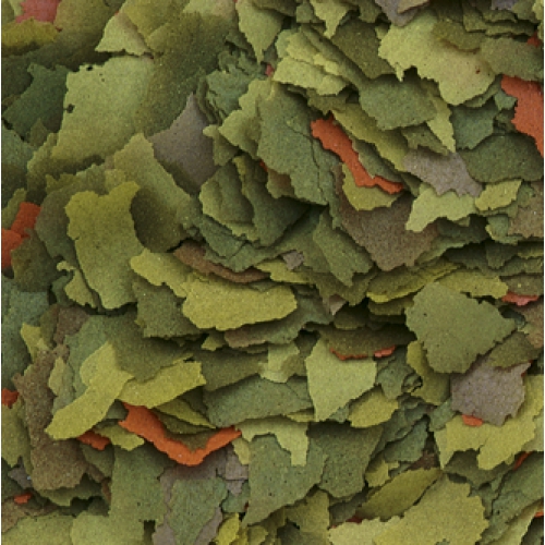 TROPICAL%20MALAWİ%20FLAKES%2050%20GRAM