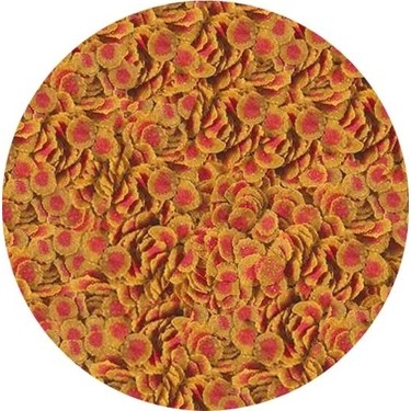 Tetra Pro Color 10Lt / 2100Gram
