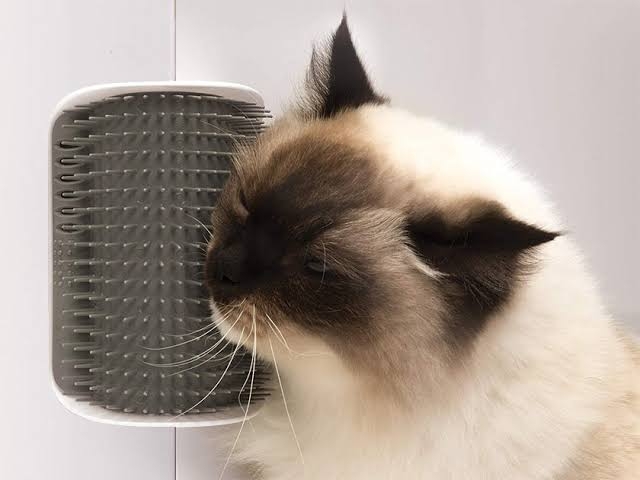 Softer Cat Self Groomer 3.0 (Kedi Kaşınma Aparatı)