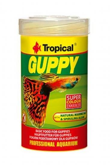 Tropical Guppy 100ml/20gr