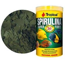 Tropical Süper Spirulina Forte Pul 11 Lt / 2000Gr