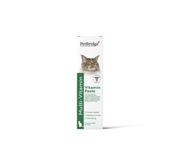 PET BRİDGE MULTİVİTAMİN PASTE 100 ML