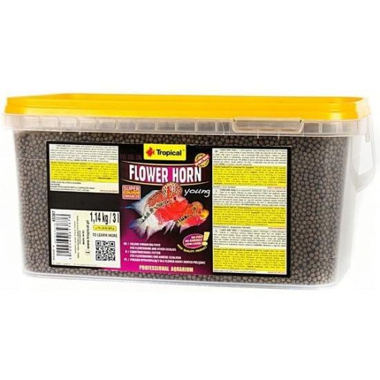 Tropical Flower Horn Young Pellet Cichlid Yemi 100gr