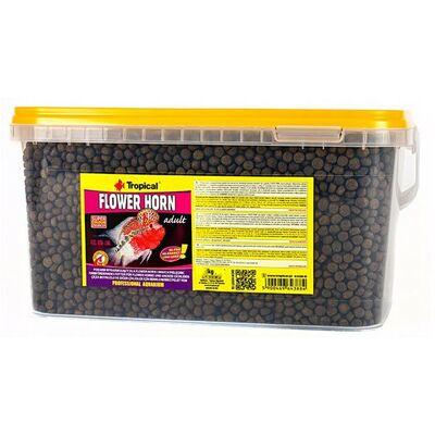 Tropical Flower Horn Adult Pellet Cichlid Yemi 100gr
