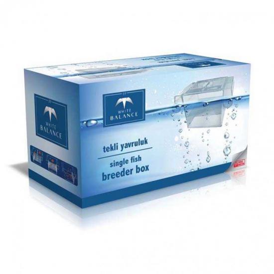 WHİTE BALANCE TEKLİ YAVRULUK