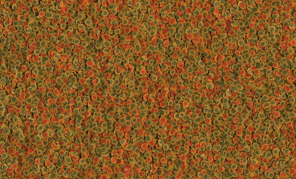 TETRA PRO ENERGY 50 GRAM